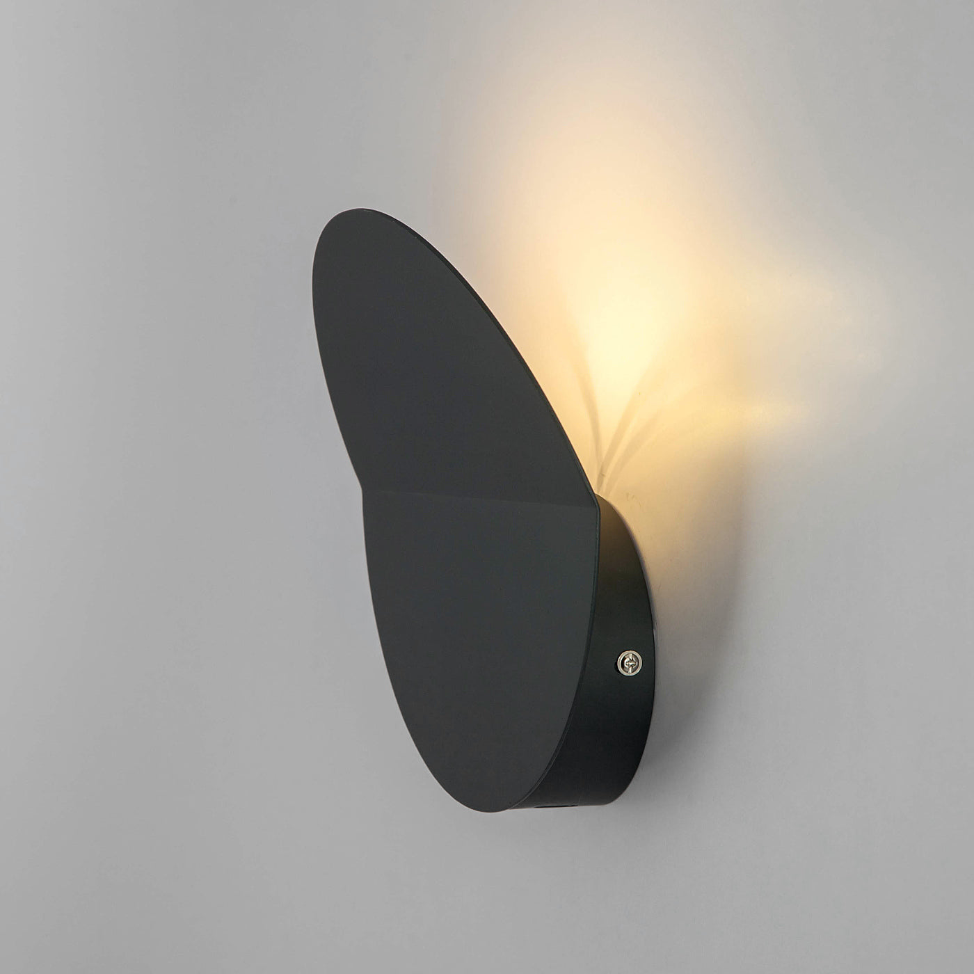 Disk Wall Light