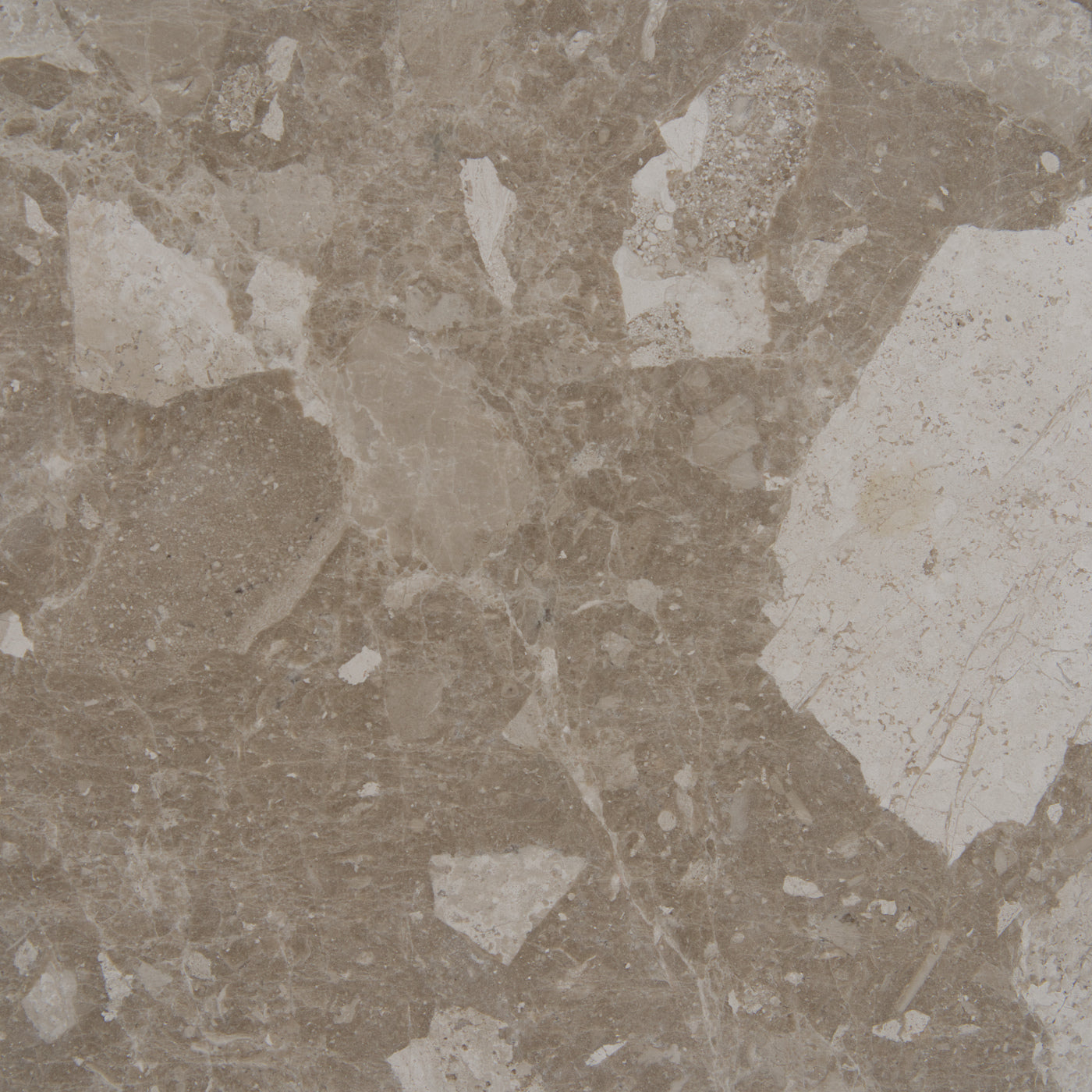 Italian Oracle marble