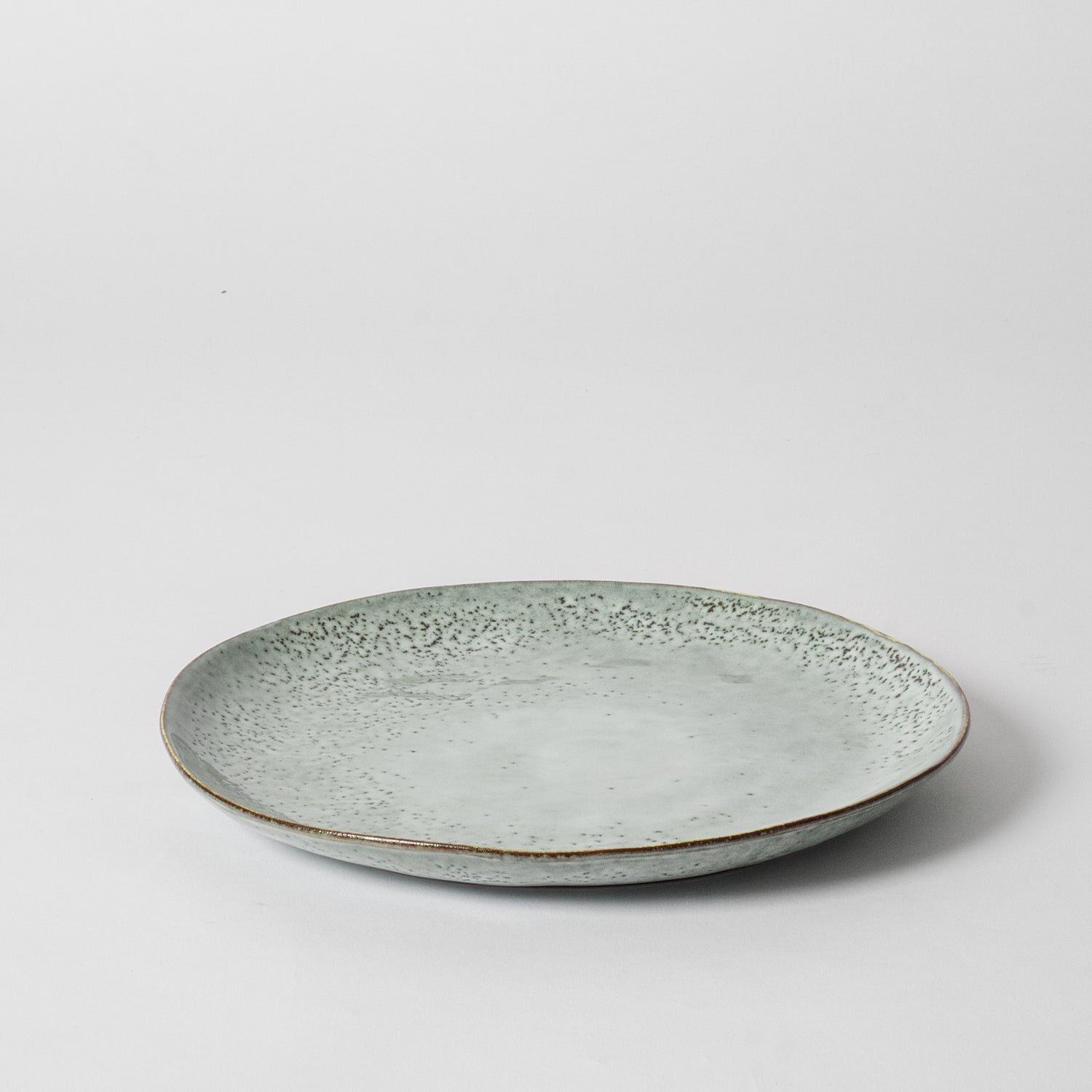 Blue Speckled Dinner Plate