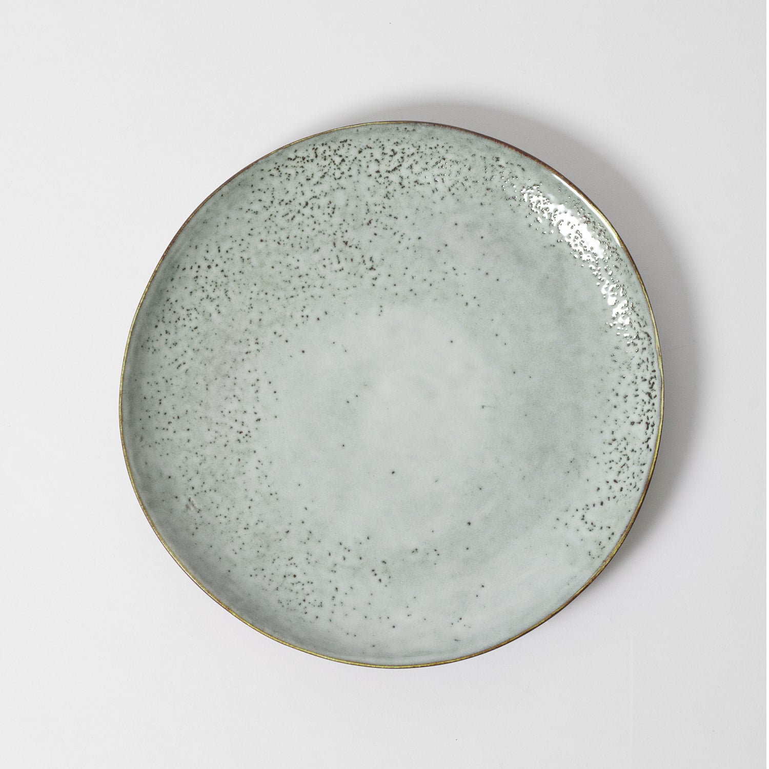 Blue Speckled Dinner Plate