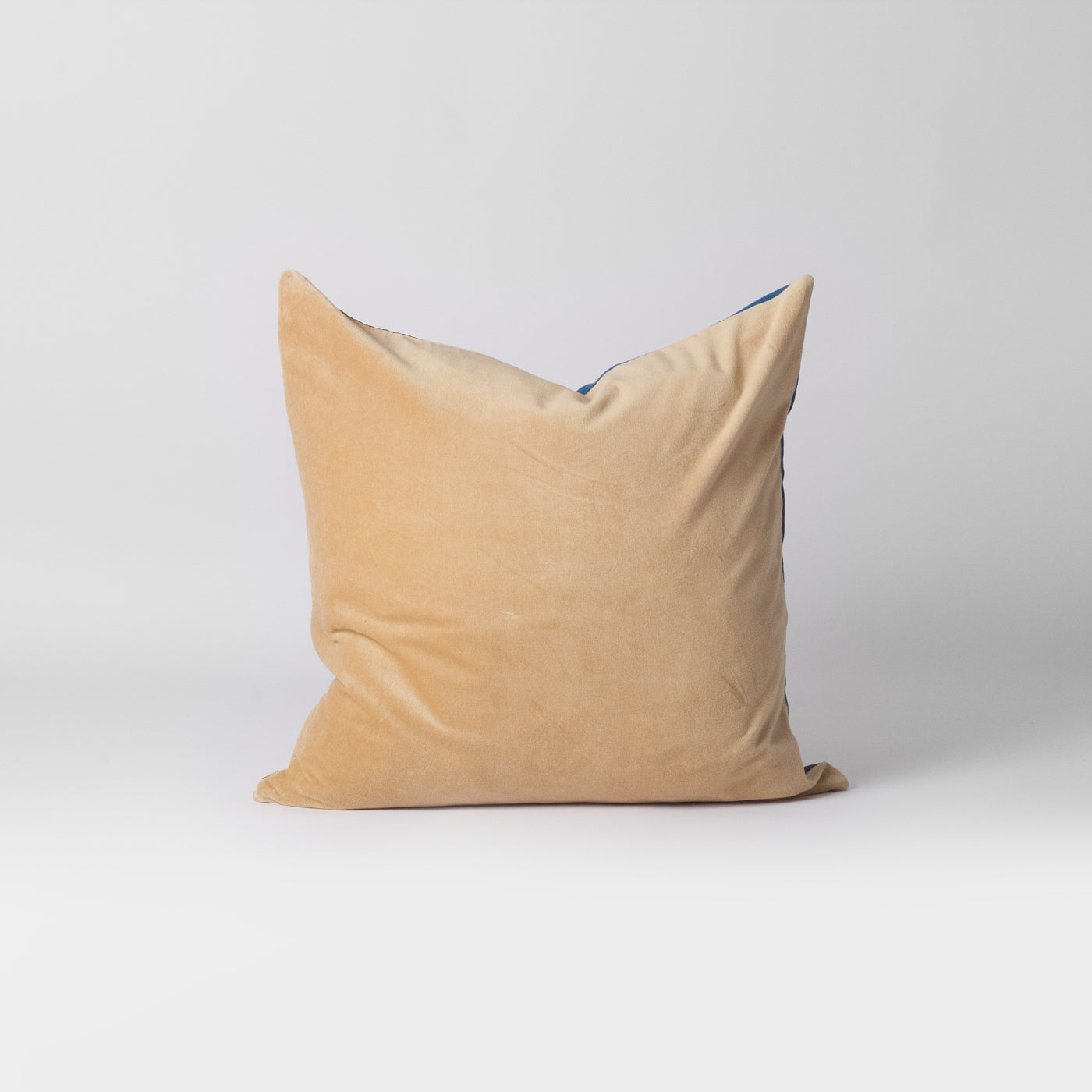 blue and white velvet cushion