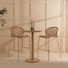 Indoor and outdoor bar set