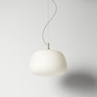 Frosted glass pendant light