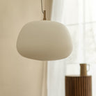 Frosted glass pendant light