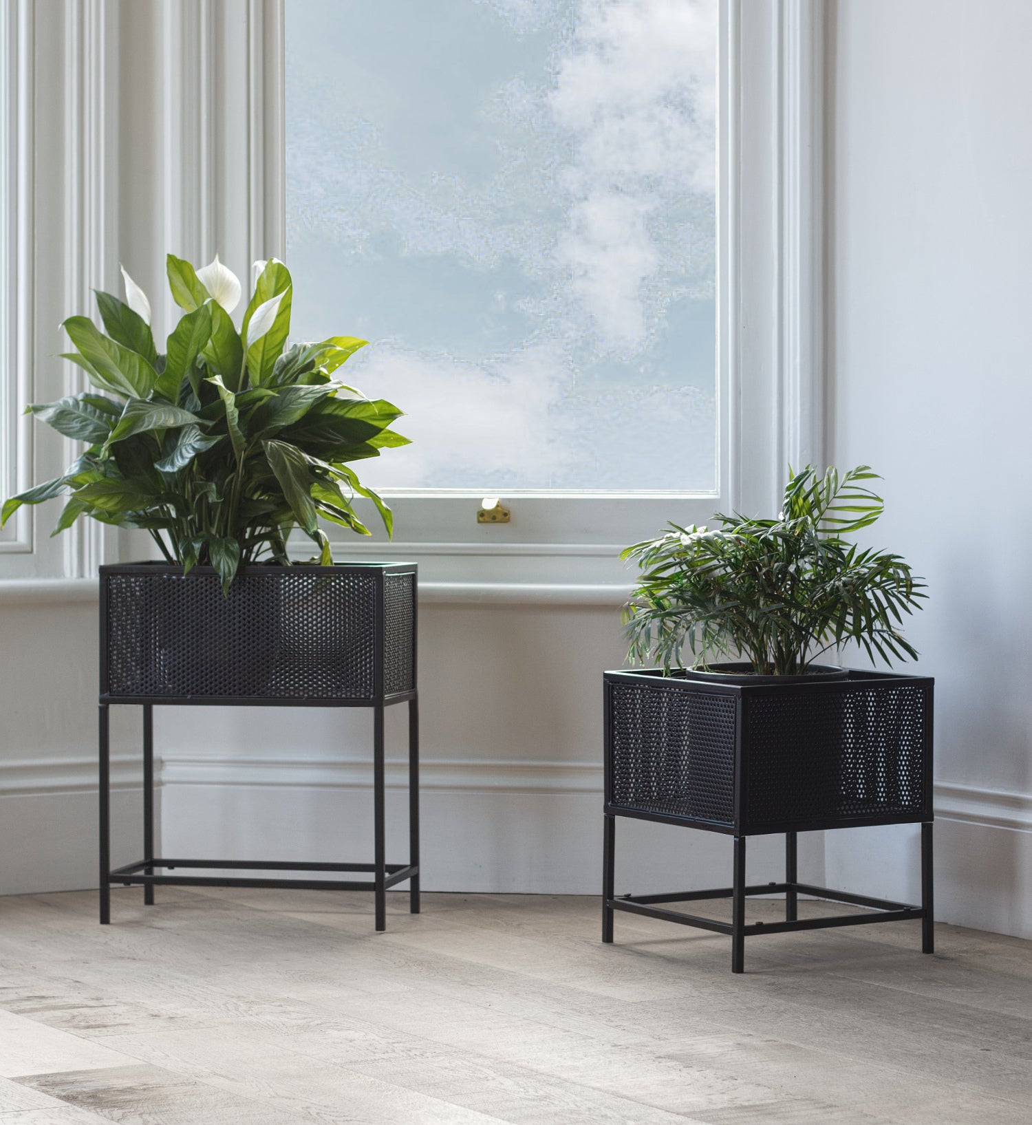 Black metal plant stands