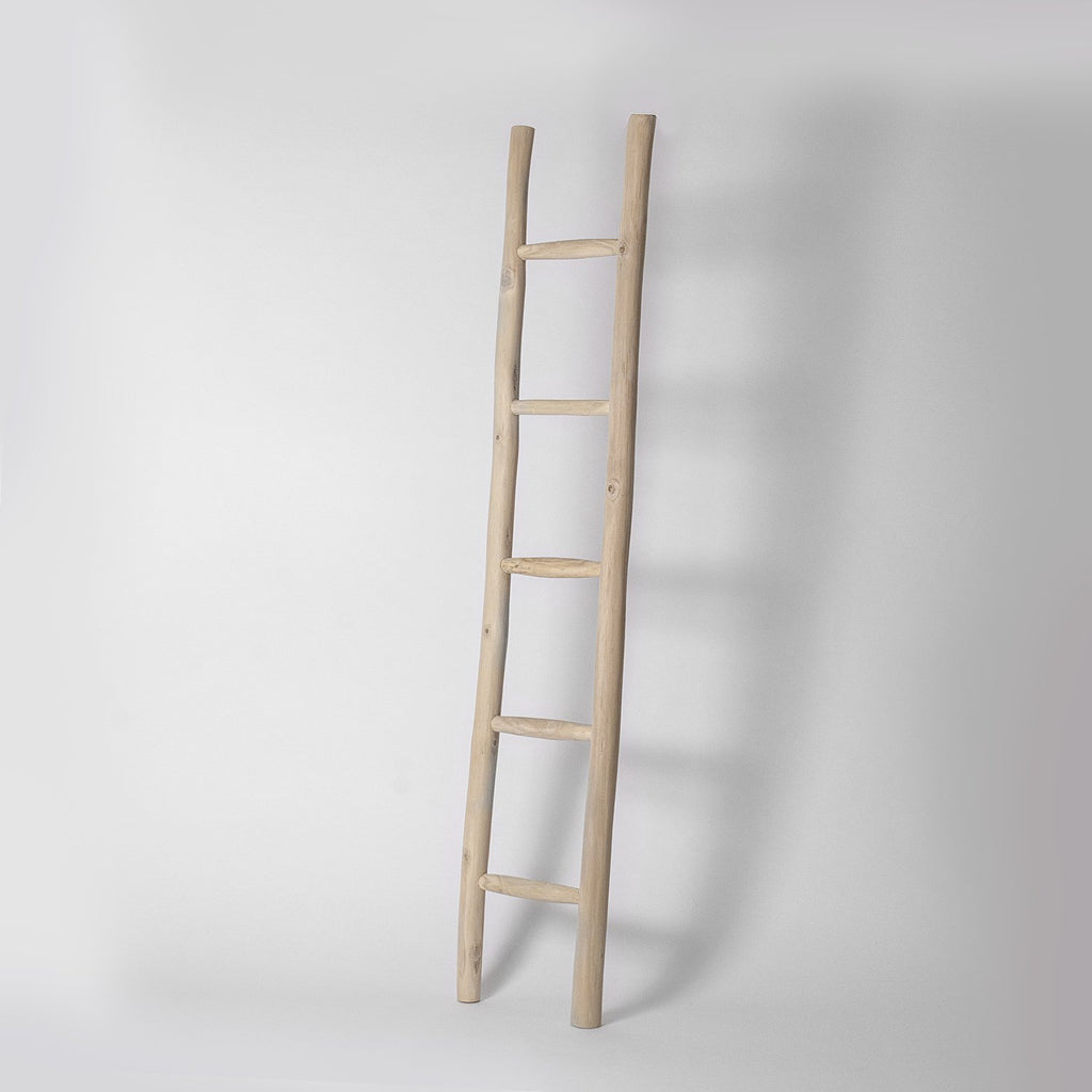 Nordish Teak Ladder Shelf | Vaunt Design