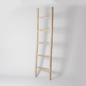 Decorative ladder rack